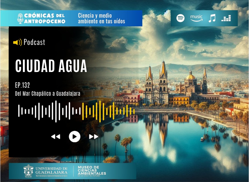 CIUDAD AGUA