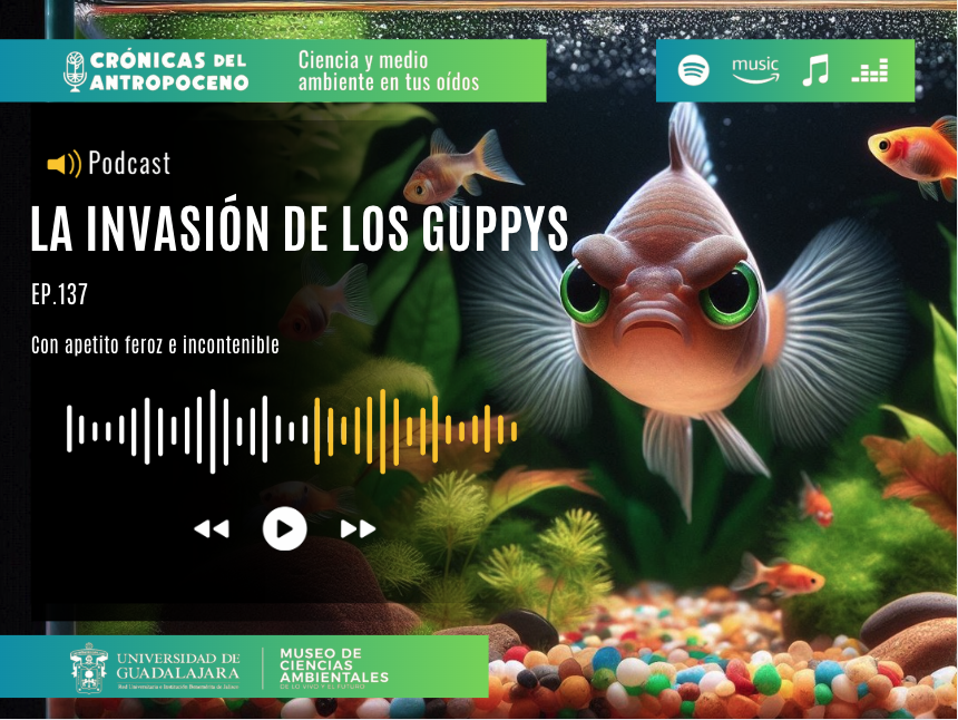 LOS INVASIÓN DE LOS GUPPYS
