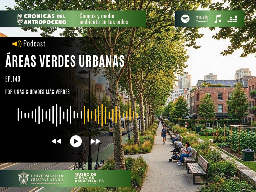 ÁREAS VERDES URBANAS