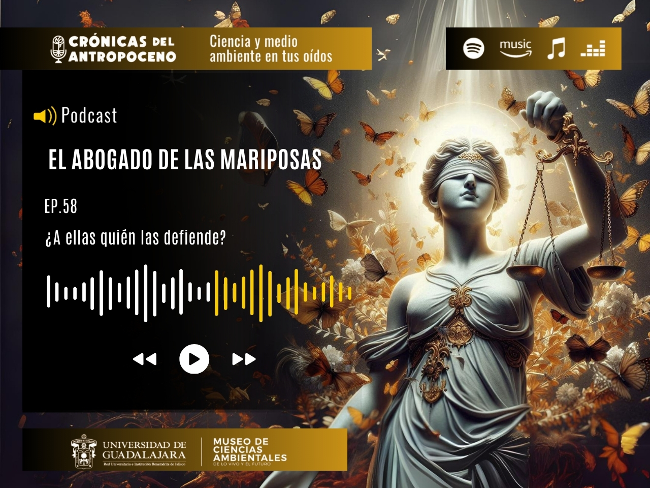 EL ABOGADO DE LAS MARIPOSAS