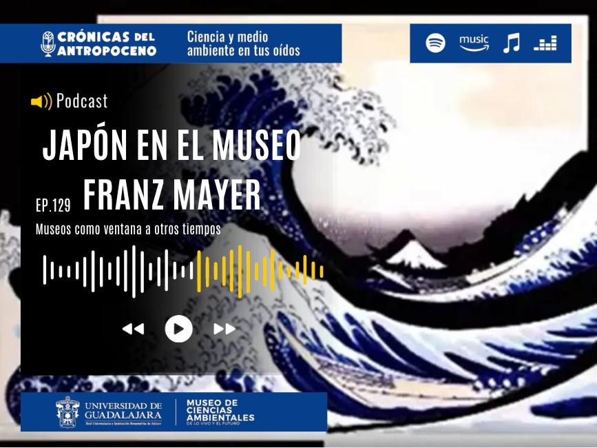 JAPÓN EN EL MUSEO FRANZ MAYER