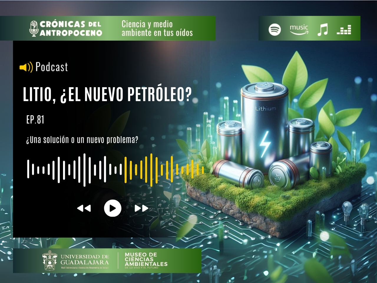 ¿UNA SOLUCIÓN O UN NUEVO PROBLEMA?