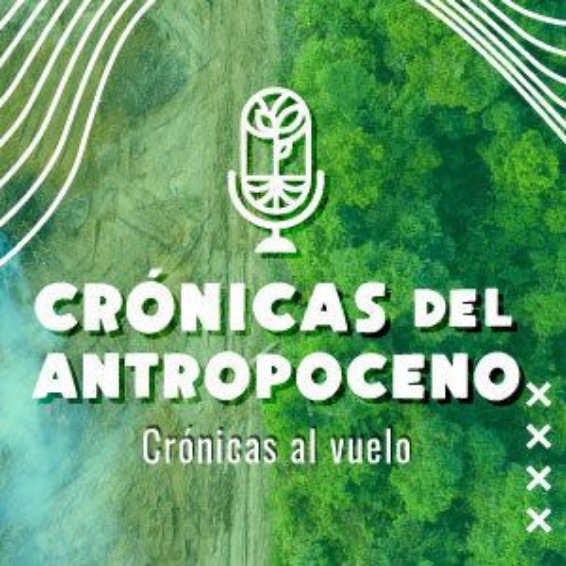 CIUDAD, TERRITORIO Y EQUIDAD