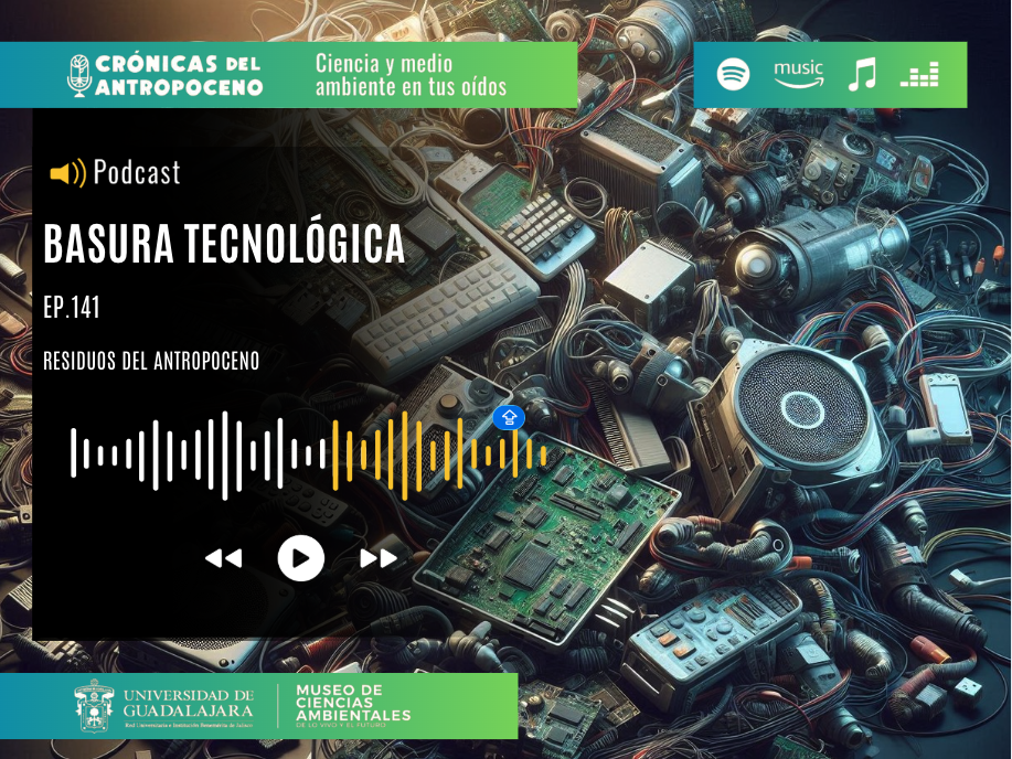 BASURA TECNOLÓGICA