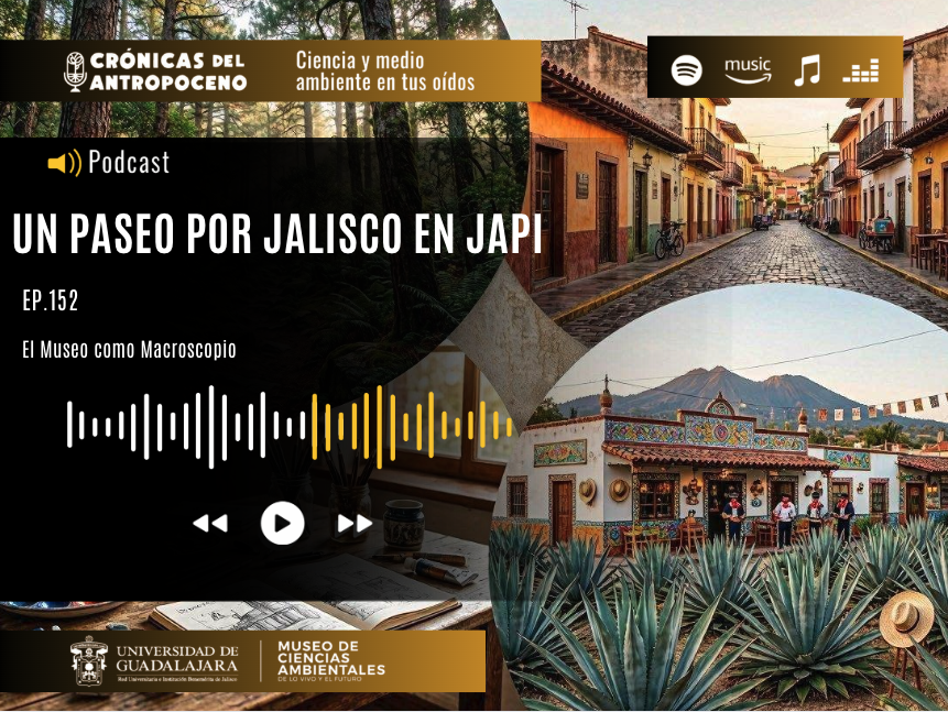 UN PASEO POR JALISCO EN JAPI