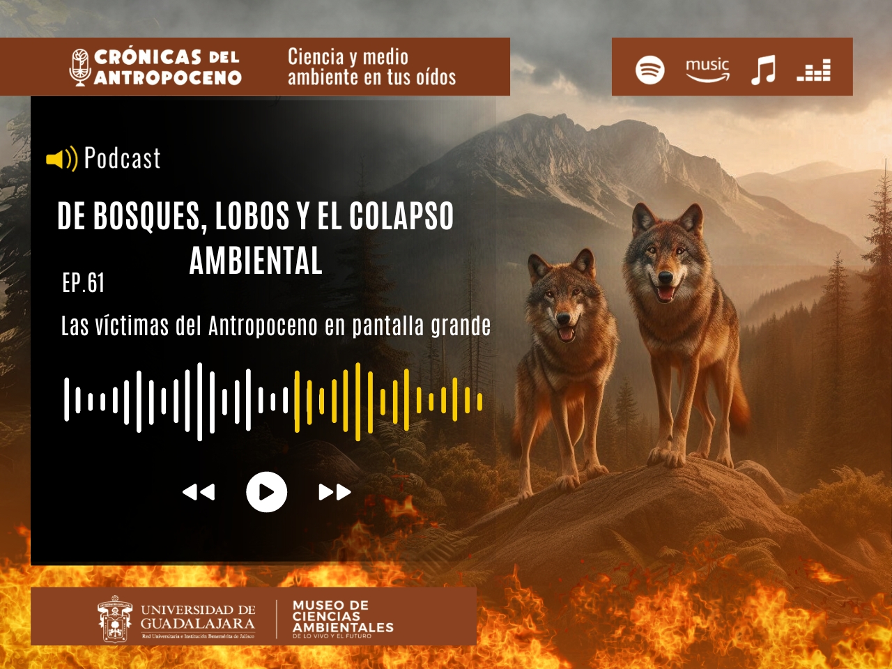 DE BOSQUES, LOBOS Y EL COLAPSO AMBIENTAL