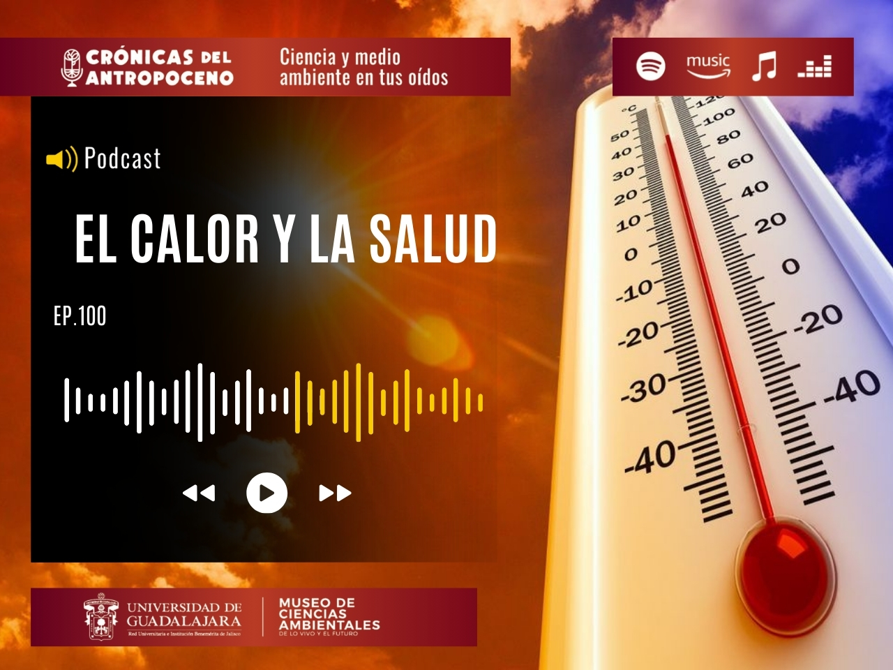 EL CALOR Y LA SALUD
