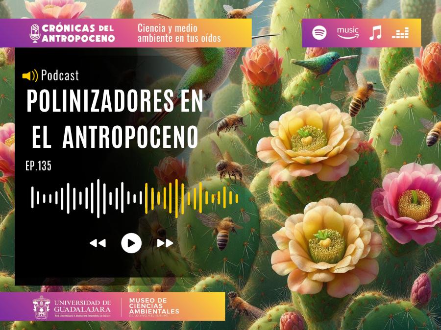POLINIZADORES EN EL ANTROPOCENO