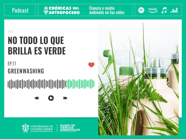 ENERGÍA EN TRANSICIÓN