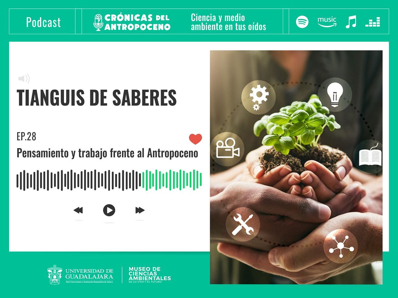 TIANGUIS DE SABERES